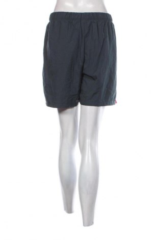 Dámske kraťasy  Nike, Veľkosť XL, Farba Sivá, Cena  19,95 €