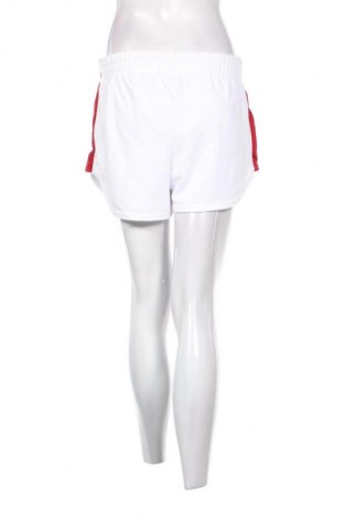 Damen Shorts Pink Woman, Größe M, Farbe Mehrfarbig, Preis € 16,00