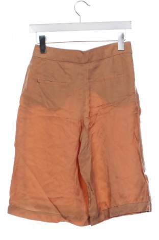 Damen Shorts Zara, Größe XS, Farbe Braun, Preis 10,30 €