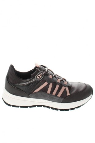 Damenschuhe Geox, Größe 41, Farbe Mehrfarbig, Preis € 142,99