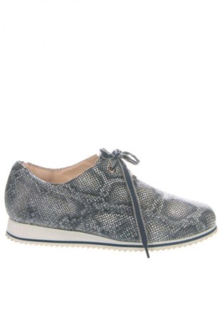 Damenschuhe HASSIA, Größe 41, Farbe Mehrfarbig, Preis € 29,99