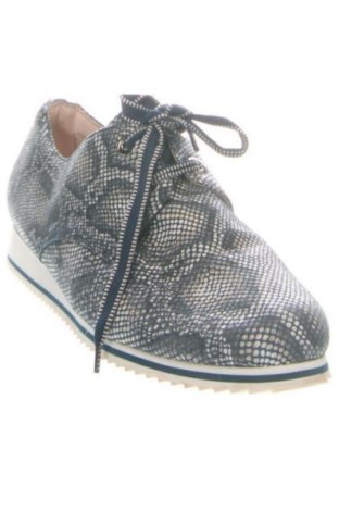 Damenschuhe HASSIA, Größe 41, Farbe Mehrfarbig, Preis € 29,99
