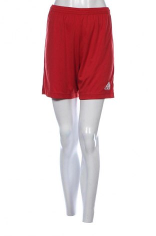 Damenhose Adidas, Größe S, Farbe Rot, Preis € 25,58