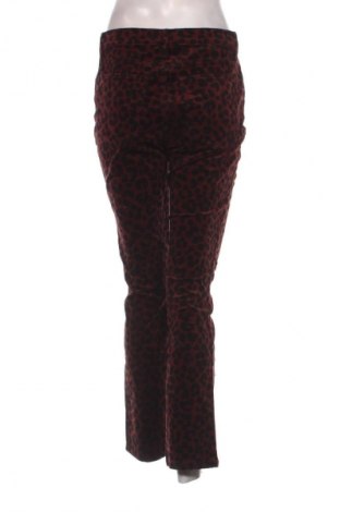 Damenhose Ann Taylor, Größe M, Farbe Mehrfarbig, Preis 42,99 €