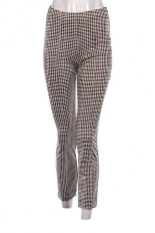 Damenhose Calzedonia, Größe M, Farbe Mehrfarbig, Preis € 28,99