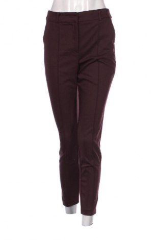 Damenhose Reserved, Größe S, Farbe Lila, Preis € 14,77