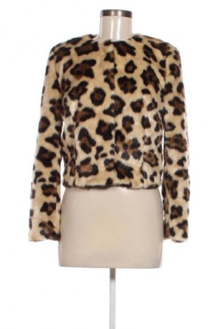 Damenmantel Elizabeth, Größe S, Farbe Mehrfarbig, Preis 45,01 €