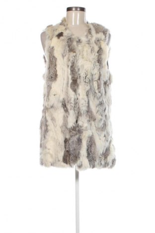 Palton de femei Etam, Mărime M, Culoare Multicolor, Preț 332,99 Lei