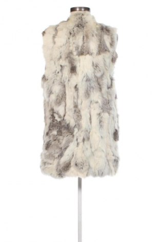 Palton de femei Etam, Mărime M, Culoare Multicolor, Preț 332,99 Lei