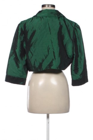 Damen Blazer Unbranded, Größe L, Farbe Grün, Preis € 24,49