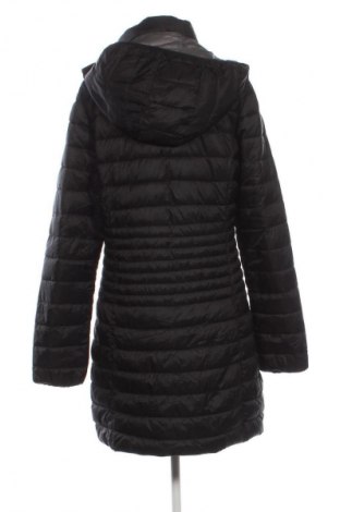 Damenjacke Champion, Größe XL, Farbe Schwarz, Preis € 109,99