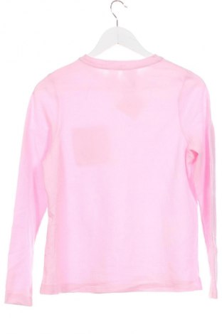 Dětská halenka  Looney Tunes, Velikost 12-13y/ 158-164 cm, Barva Růžová, Cena  179,00 Kč