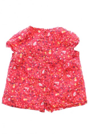 Dziecięca bluzka Sergent Major, Rozmiar 12-18m/ 80-86 cm, Kolor Kolorowy, Cena 52,87 zł