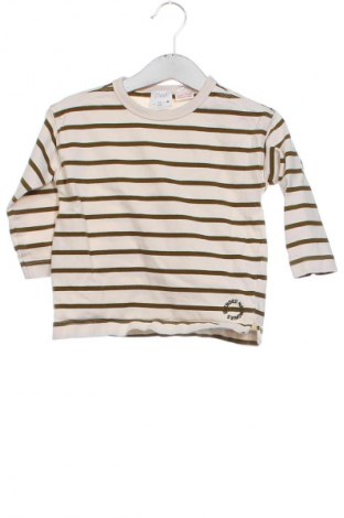 Detská blúzka  Zara, Veľkosť 12-18m/ 80-86 cm, Farba Viacfarebná, Cena  5,95 €