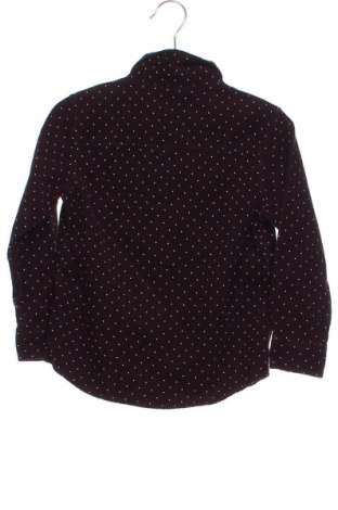Dziecięca koszula Next, Rozmiar 2-3y/ 98-104 cm, Kolor Kolorowy, Cena 30,16 zł