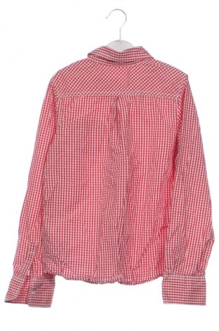 Kinderhemd Unbranded, Größe 9-12m/ 74-80 cm, Farbe Mehrfarbig, Preis 6,00 €