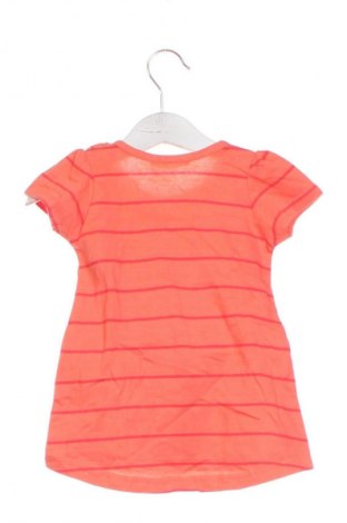 Kinder T-Shirt Fox, Größe 12-18m/ 80-86 cm, Farbe Mehrfarbig, Preis € 23,52