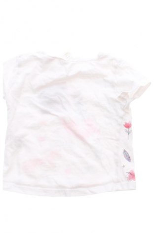 Kinder T-Shirt Zara, Größe 9-12m/ 74-80 cm, Farbe Mehrfarbig, Preis € 2,99