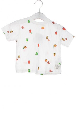 Dziecięcy T-shirt Zara, Rozmiar 9-12m/ 74-80 cm, Kolor Biały, Cena 16,00 zł