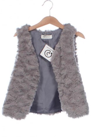 Vestă pentru copii H&M, Mărime 8-9y/ 134-140 cm, Culoare Gri, Preț 56,99 Lei