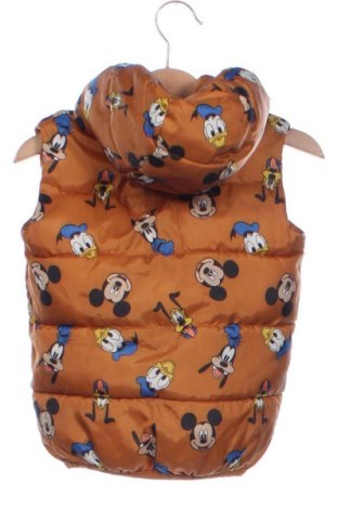 Detská vesta  Sinsay, Veľkosť 18-24m/ 86-98 cm, Farba Viacfarebná, Cena  7,95 €