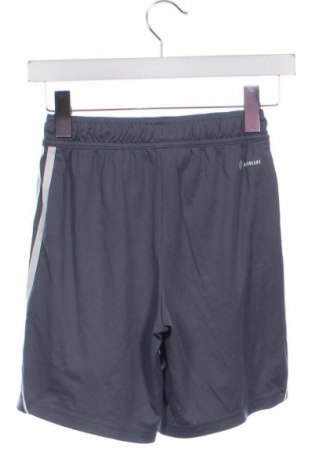Παιδικό κοντό παντελόνι Adidas, Μέγεθος 10-11y/ 146-152 εκ., Χρώμα Γκρί, Τιμή 18,99 €