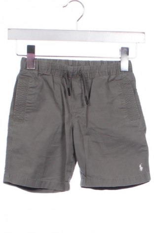 Kinder Shorts Polo Ralph Lauren, Größe 5-6y/ 116-122 cm, Farbe Grau, Preis 13,39 €