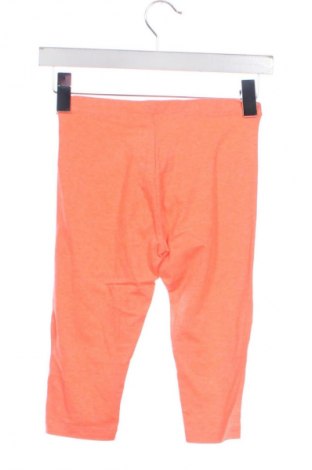 Dziecięce legginsy Zara, Rozmiar 8-9y/ 134-140 cm, Kolor Pomarańczowy, Cena 26,99 zł