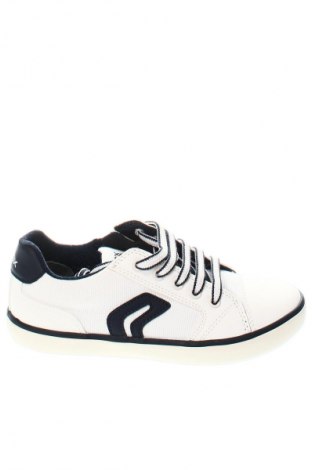 Kinderschuhe Geox, Größe 31, Farbe Mehrfarbig, Preis 64,99 €