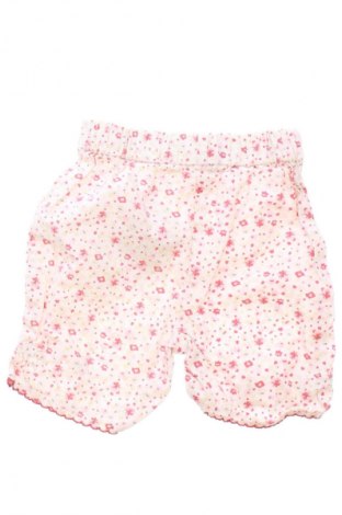 Kinderhose Unbranded, Größe 2-3m/ 56-62 cm, Farbe Mehrfarbig, Preis € 9,99