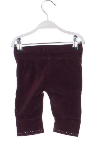 Kinderhose Unbranded, Größe 1-2m/ 50-56 cm, Farbe Lila, Preis 7,99 €