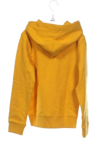 Dziecięca bluza Calvin Klein Jeans, Rozmiar 6-7y/ 122-128 cm, Kolor Żółty, Cena 412,99 zł