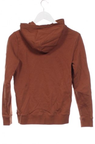 Kinder Sweatshirts Calvin Klein Jeans, Größe 13-14y/ 164-168 cm, Farbe Mehrfarbig, Preis € 65,60