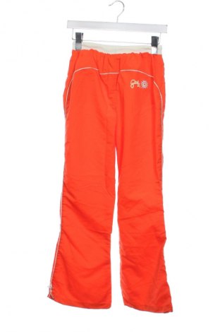 Dziecięce spodnie sportowe Success, Rozmiar 10-11y/ 146-152 cm, Kolor Pomarańczowy, Cena 70,99 zł