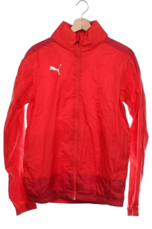 Kinderjacke PUMA, Größe 15-18y/ 170-176 cm, Farbe Rot, Preis 37,99 €