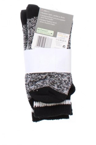 Set Nur Der, Größe M, Farbe Mehrfarbig, Preis 5,99 €