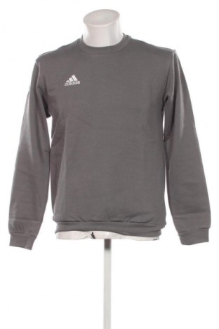 Ανδρική μπλούζα Adidas, Μέγεθος S, Χρώμα Γκρί, Τιμή 40,99 €