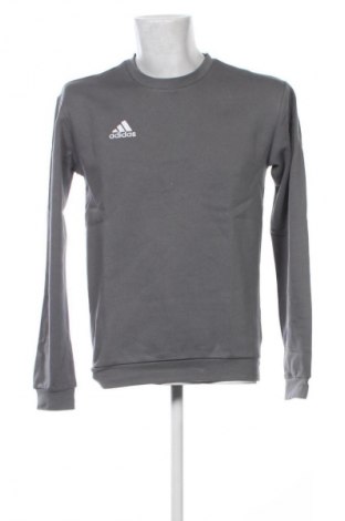 Ανδρική μπλούζα Adidas, Μέγεθος S, Χρώμα Γκρί, Τιμή 40,99 €