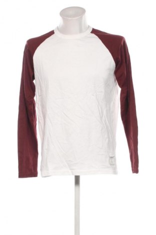 Herren Shirt Carhartt, Größe L, Farbe Mehrfarbig, Preis € 23,99