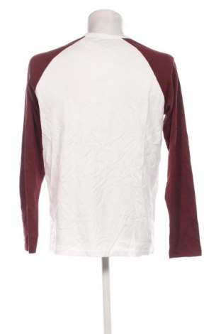Herren Shirt Carhartt, Größe L, Farbe Mehrfarbig, Preis € 23,99