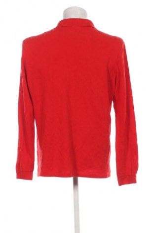 Herren Shirt Lacoste, Größe L, Farbe Rot, Preis € 32,00