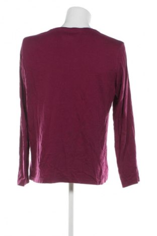 Herren Shirt S.Oliver, Größe XL, Farbe Lila, Preis 18,99 €