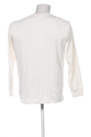 Herren Shirt Uniqlo, Größe XL, Farbe Ecru, Preis € 18,99