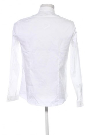 Herrenhemd Calvin Klein, Größe M, Farbe Weiß, Preis 48,99 €