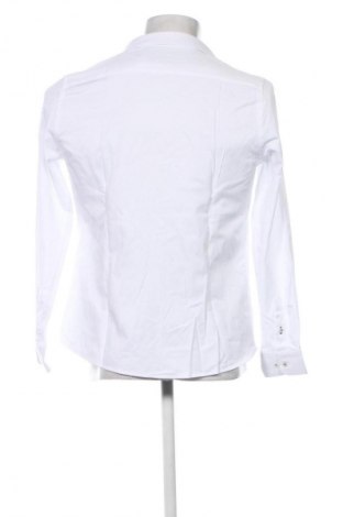 Pánska košeľa  Denim Culture, Veľkosť L, Farba Biela, Cena  44,95 €