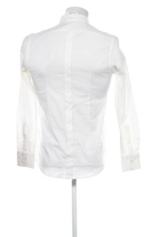 Herrenhemd Dolce & Gabbana, Größe M, Farbe Ecru, Preis 72,70 €