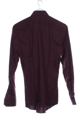 Męska koszula Olymp, Rozmiar M, Kolor Fioletowy, Cena 68,99 zł