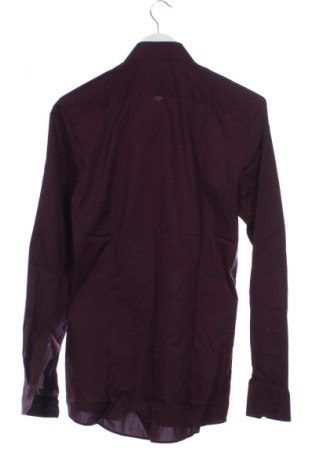 Cămașă de bărbați Olymp, Mărime M, Culoare Mov, Preț 97,99 Lei