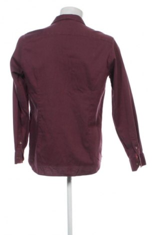 Herrenhemd Ted Baker, Größe L, Farbe Mehrfarbig, Preis € 40,43