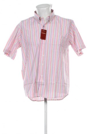 Herrenhemd Unbranded, Größe XL, Farbe Mehrfarbig, Preis 23,59 €